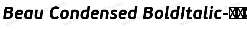 Beau Condensed BoldItalic字体转换